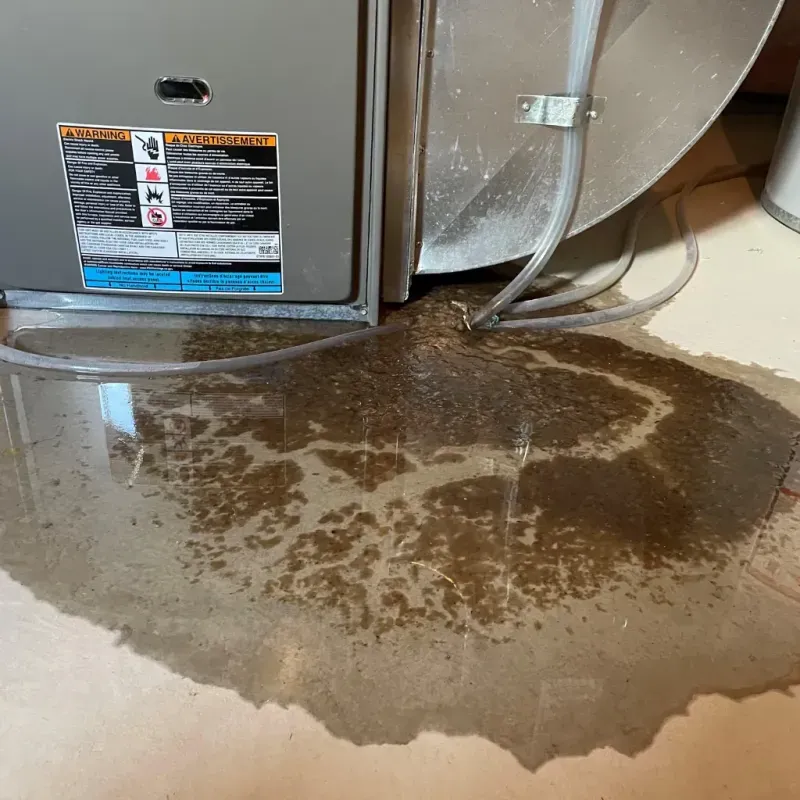 Appliance Leak Cleanup in Irvington, NJ